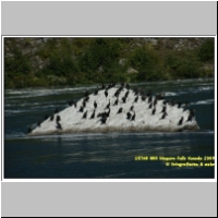 15768 080 Niagara Falls Kanada 2009.jpg